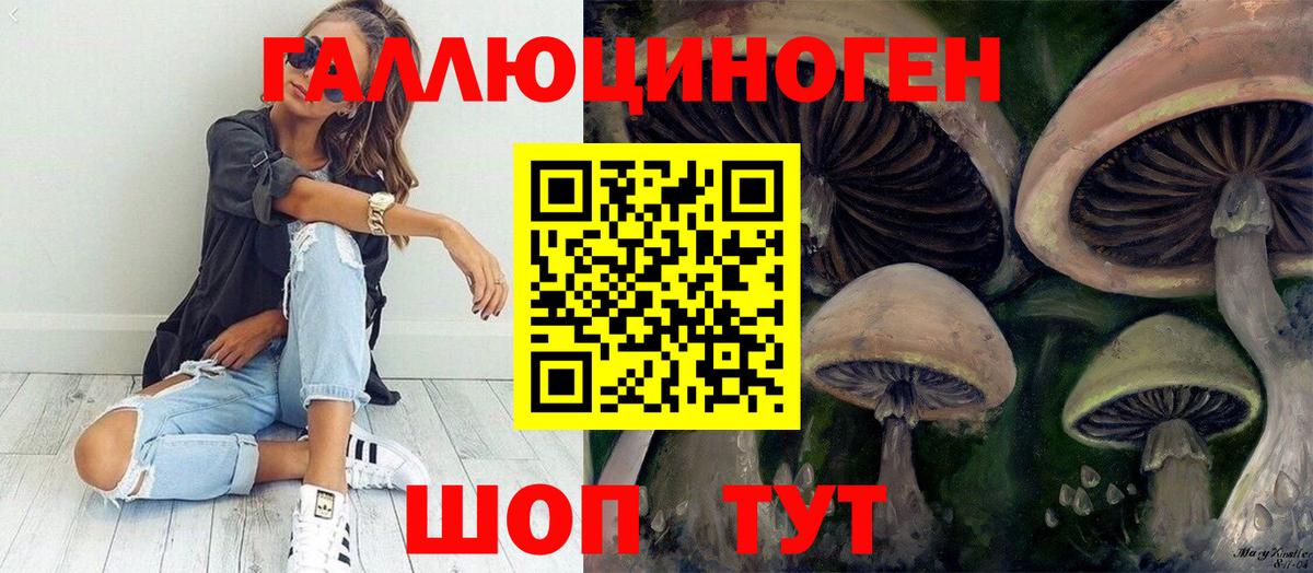 Менделеевск  Галлюциногенные грибы прущие грибы  Вход с VPN 